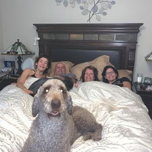 Meet your Posher, Isvel